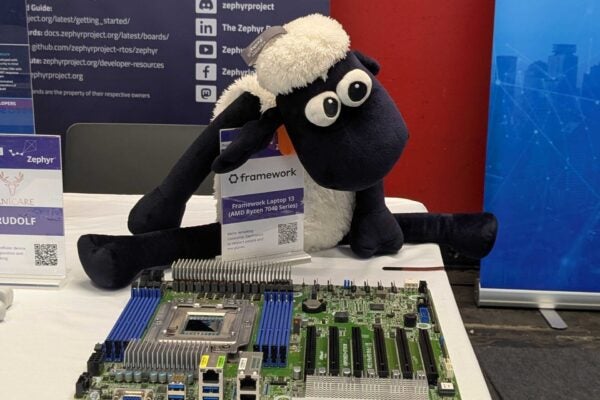 54782386439_42e974a01f_o